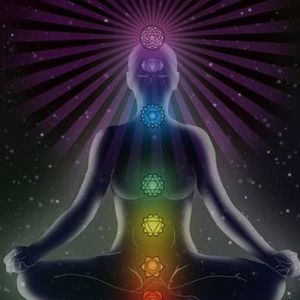 Meet your Posher, Cindi